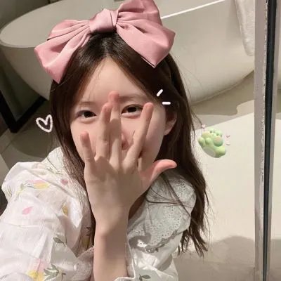 完美伴侣